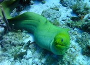 DSC04036.jpg