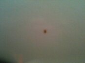 IMG_0639.jpg IMG_0639.jpg