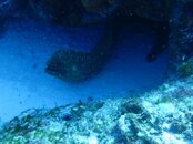 IMG_0014.jpg