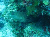 IMG_0037.jpg