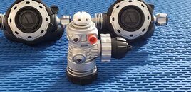 20220325_094755.jpg