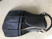 IMG_2962.jpeg