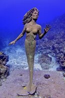 IMG_1558.jpg