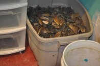 DSC_2247.jpg