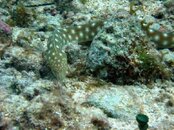 IMG_4994.jpg