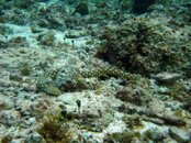 IMG_4995.jpg