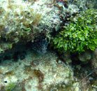 IMG_5006.jpg
