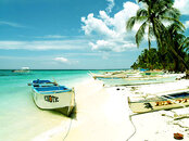 12-island.jpg