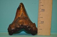 DSC_2273.jpg