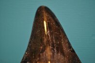 DSC_2276.jpg