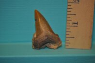 DSC_2279.jpg