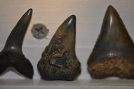 DSC_2285.jpg