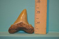 DSC_2271.jpg