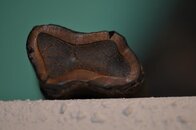 DSC_2289.jpg