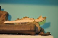 DSC_2291.jpg