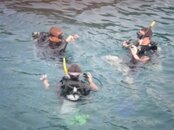 n726531033_888060_5199 [320x200].jpg
