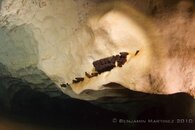 IMG_5880.jpg