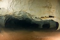 IMG_5863.jpg