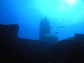 SANY0014.jpg