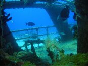 SANY0027 (8).jpg