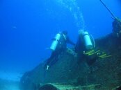 SANY0028 (3).jpg
