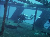 IMG_0054.jpg