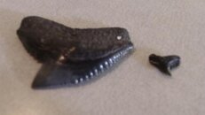 100_0537.jpg
