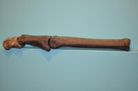 DSC_2311.jpg