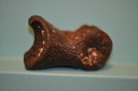 DSC_2312.jpg