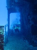 IMG_0027.jpg