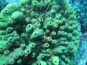 IMG_0028.jpg