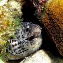 IMG_1000000588.jpg