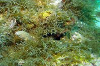 IMG_1000000634.jpg