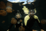 IMG_4664.gif IMG_4664.gif