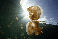 IMG_4605.gif IMG_4605.gif