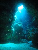 DSC02955.jpg