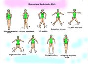 elstrokelegsimpr.jpg