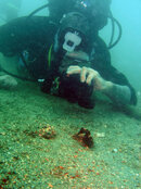 689 jim with seahorse02_72dpi.jpg