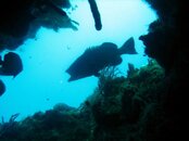 IMG_5350.jpg