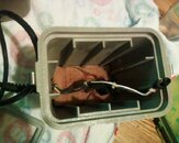 120111_0004.jpg