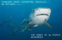 bahamas 4.jpg