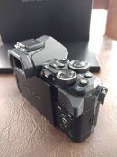 IMG_20220615_092403614.jpg