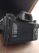 IMG_20220615_093355347.jpg