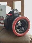 IMG_20220615_122934759.jpg