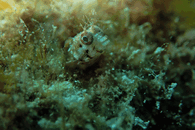 99B49894-D1F4-44FA-8014-329EA7303432.gif