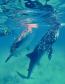 IMG_7024.jpeg