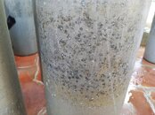 IMG_20220629_100421.jpg