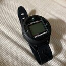 IMG_2451.jpg