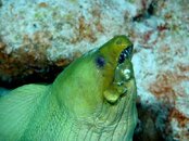 DSC04589.jpg