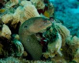 DSC_3917.jpg